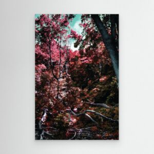 Untitled No. 2 (Landscapes in My Mind)