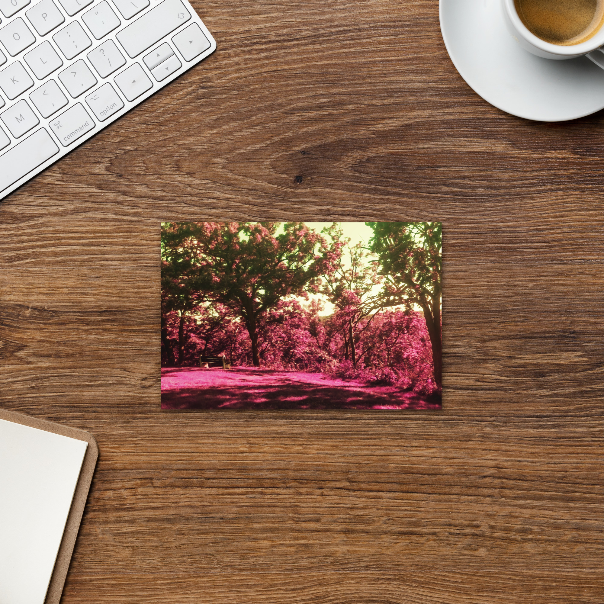 Postcard: Untitled No. 3 (Landscapes in My Mind)